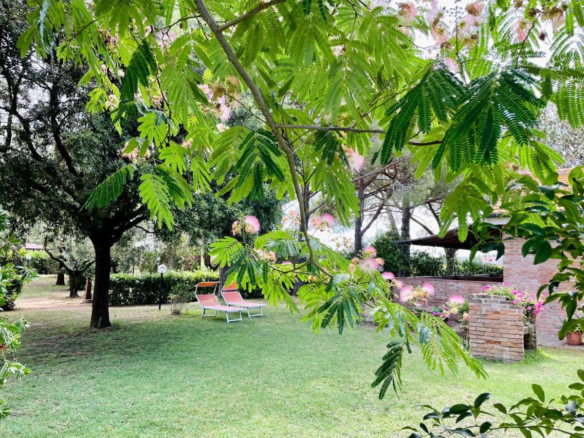 Agriturismo Salcino Grosseto Extérieur photo