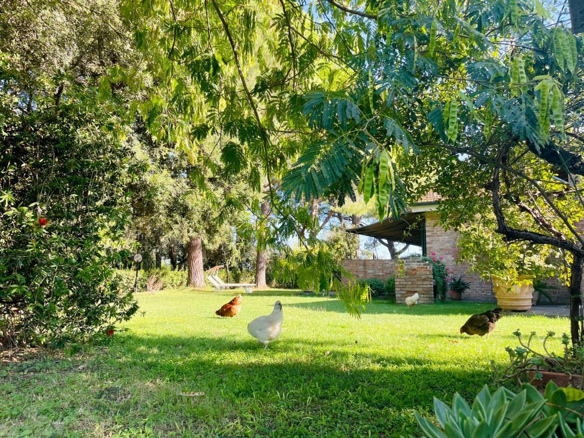 Agriturismo Salcino Grosseto Extérieur photo