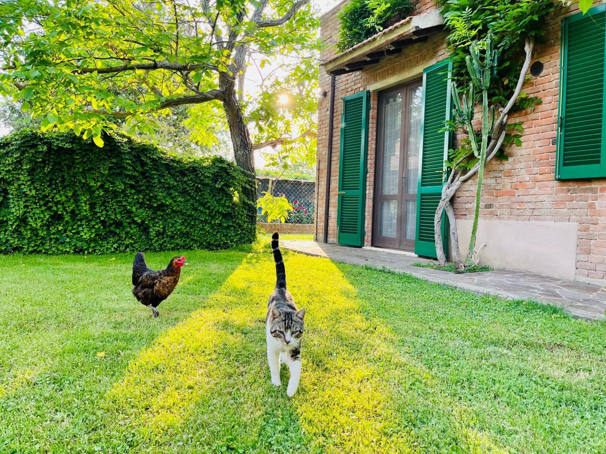 Agriturismo Salcino Grosseto Extérieur photo
